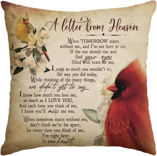 AVOIN Colorlife Cardinalis a Letter from Heaven Throw Pillow Covers, 18 X 18 Inch Northern Cardinal Daily Life in Memory Commemorate Cushion Case for Sofa Couch