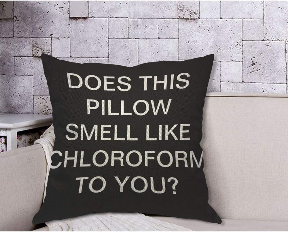 AOYEGO Does This Pillow Smell like Chloroform to You Throw Pillow Cover Quote Saying Black Background Pillow Case 18X18 Inch Decorative Men Women Boy Girl Room Cushion Cover for Home Couch Bed