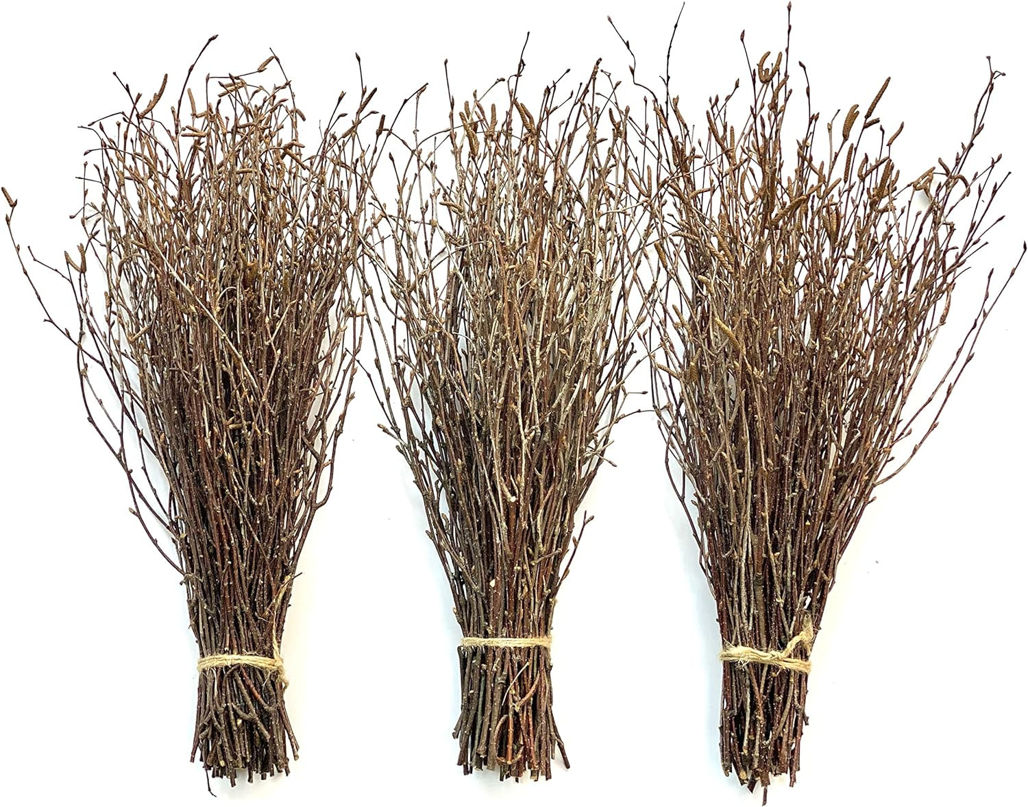 50 Psc. Birch Twigs – 100% Natural Decorative Birch Branches for Vases, Centerpieces & DIY Crafts – Birch Sticks for Decorating (16-18 Inch)
