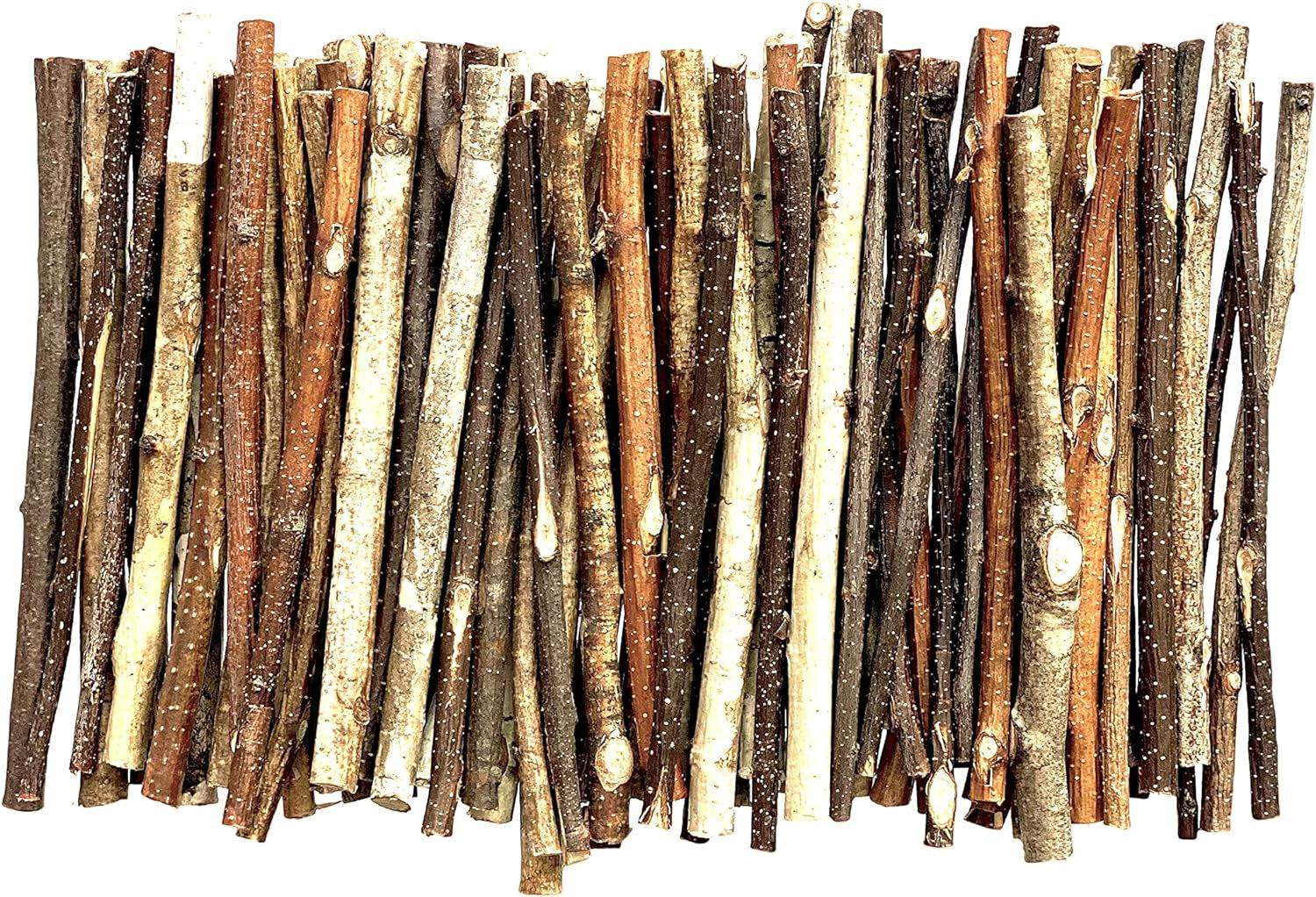 50 Psc. Birch Twigs – 100% Natural Decorative Birch Branches for Vases, Centerpieces & DIY Crafts – Birch Sticks for Decorating (16-18 Inch)